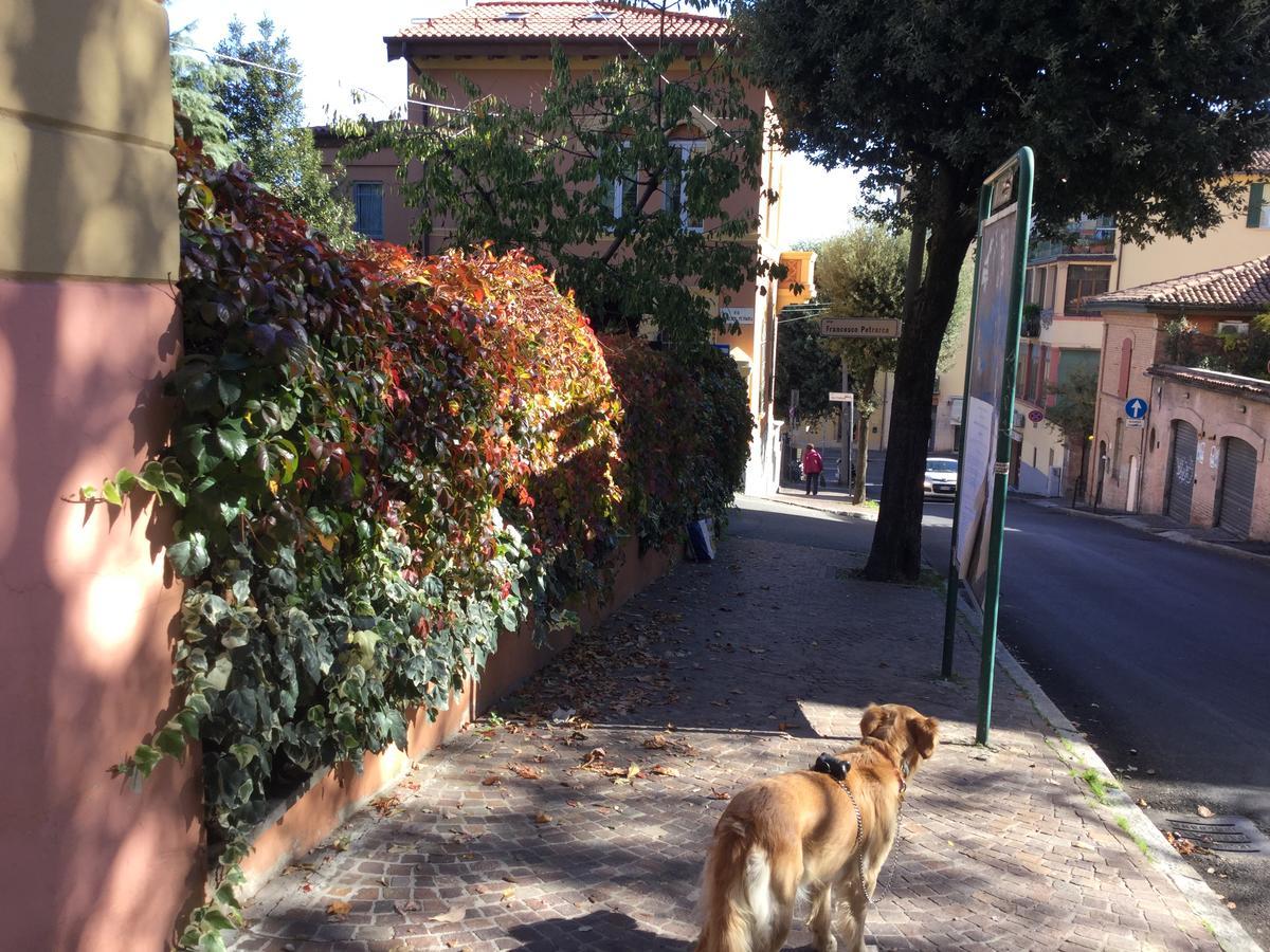 B&B La Castagnina โบโลญญา ภายนอก รูปภาพ
